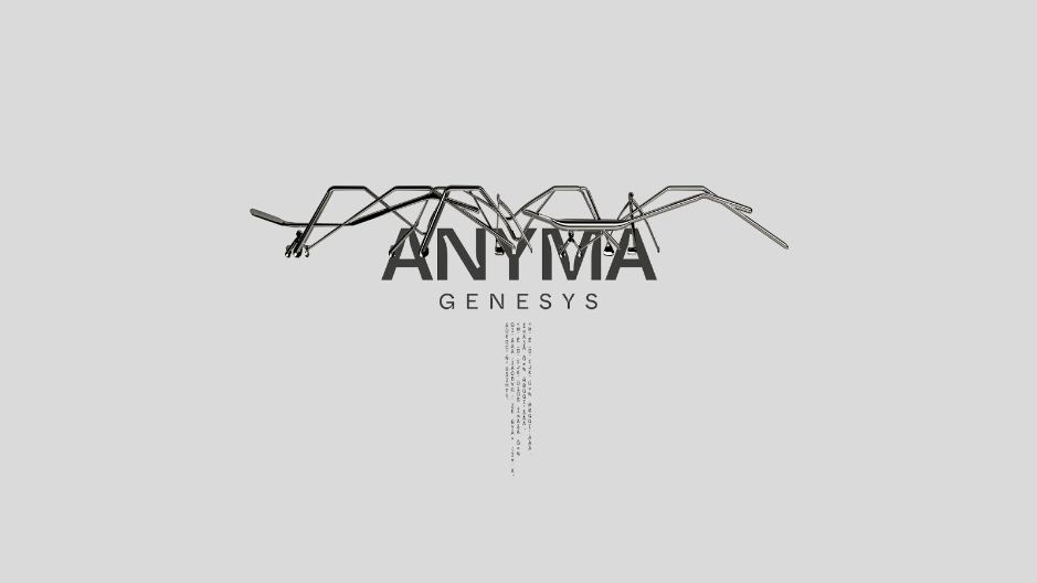 Anyma